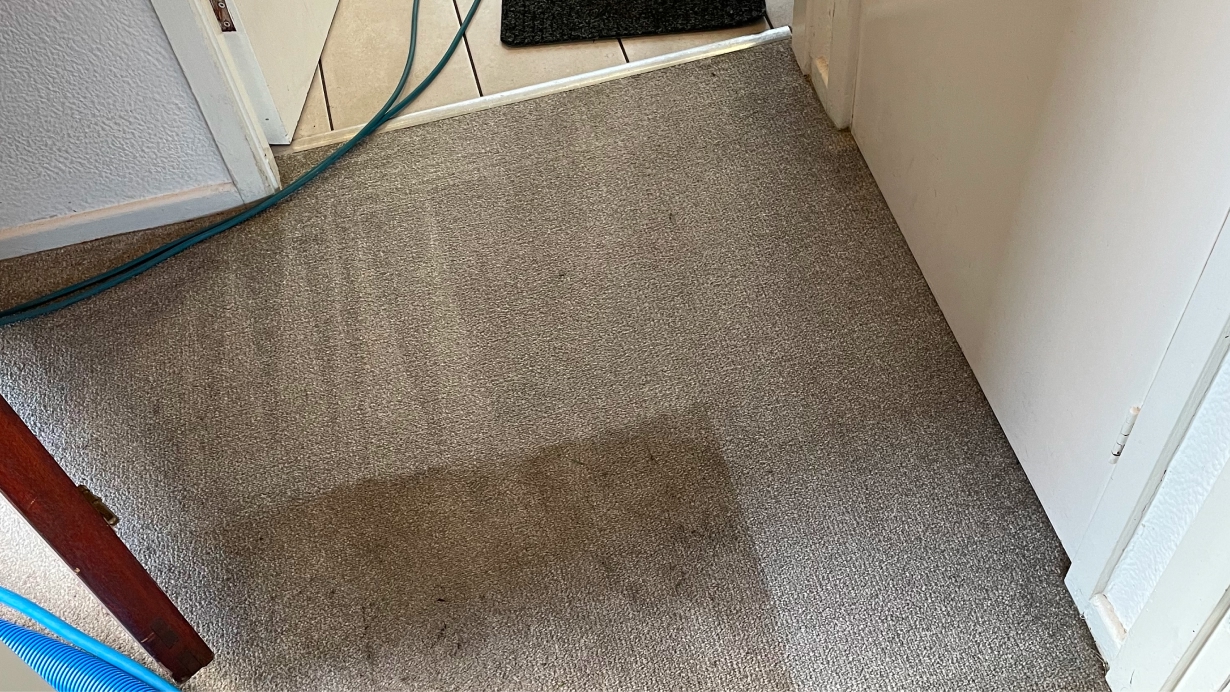 Carpet Cleaning Frequently Asked Questions